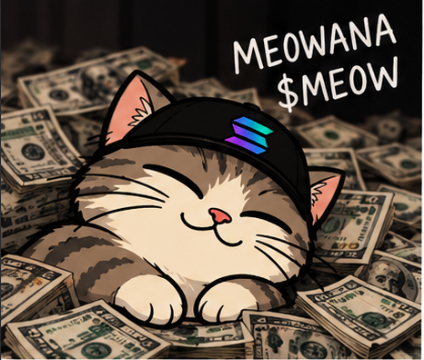 Cat in a Solana cap napping on a bed of dollar bills