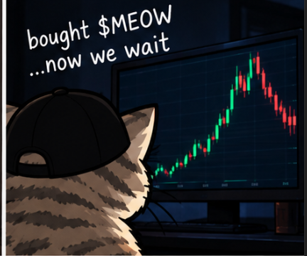 Cat watching a candle chart on a monitor